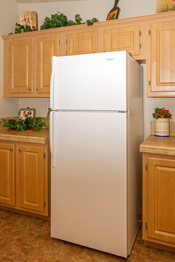 Poinciana-SR3252-fridge